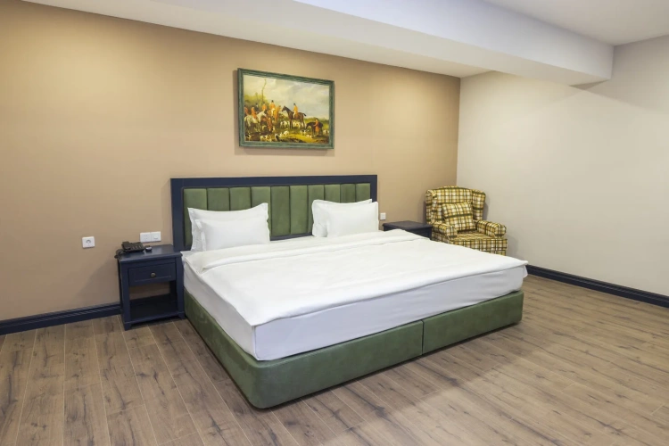 Standard Double room with mountain view
