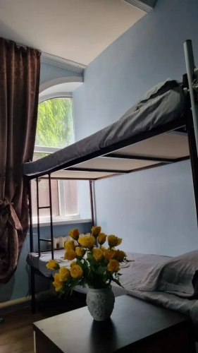 Bed in Dorm with city view