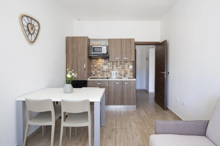 1 Bedroom Apartment with balcony