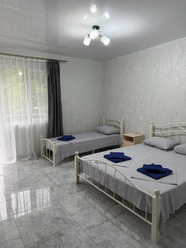 Standard room with balcony and with mountain view
