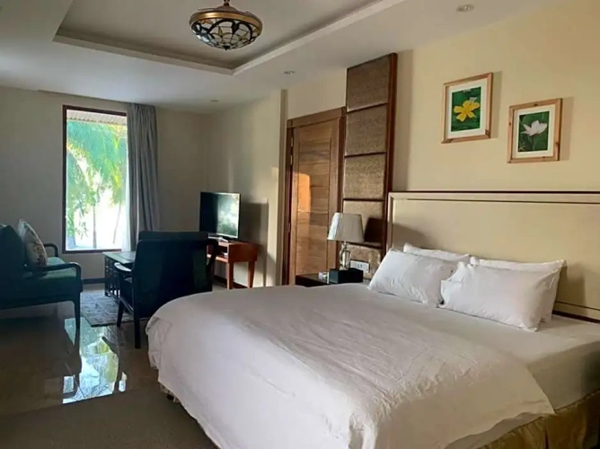 Premium Suite