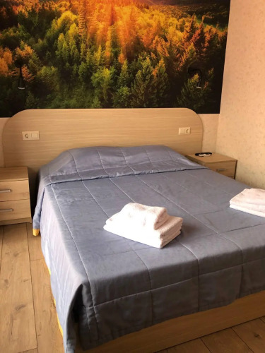 Фотография номера гостиницы Юнона