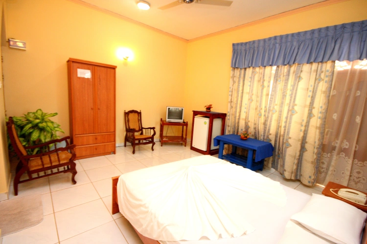 Standard Double room with balcony and with view