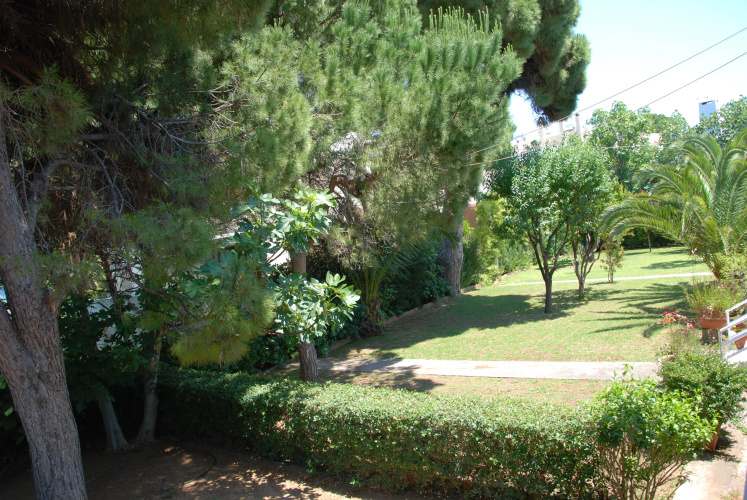Alexander Apartments