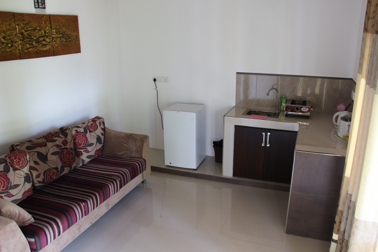 Deluxe Double room with balcony and with river view