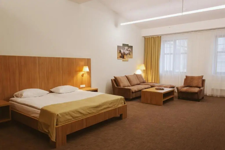 Фотография номера гостиницы Максима Парк