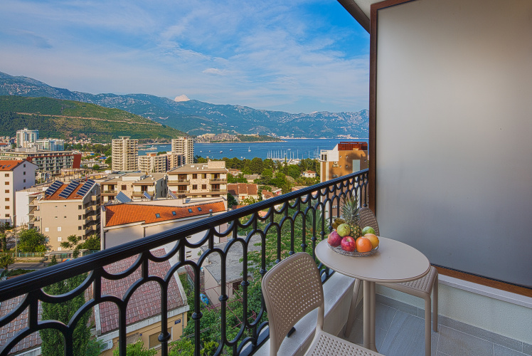 1 Bedroom Apartment with balcony and with view