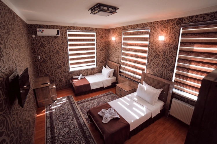 Standard Twin room with view