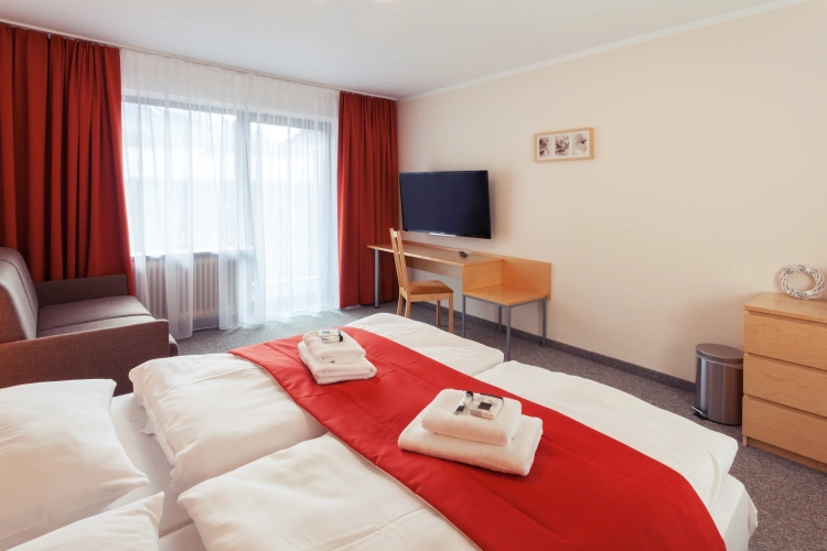 Business Double room with balcony and with view
