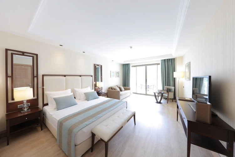 Deluxe Standard room with balcony and with mountain view