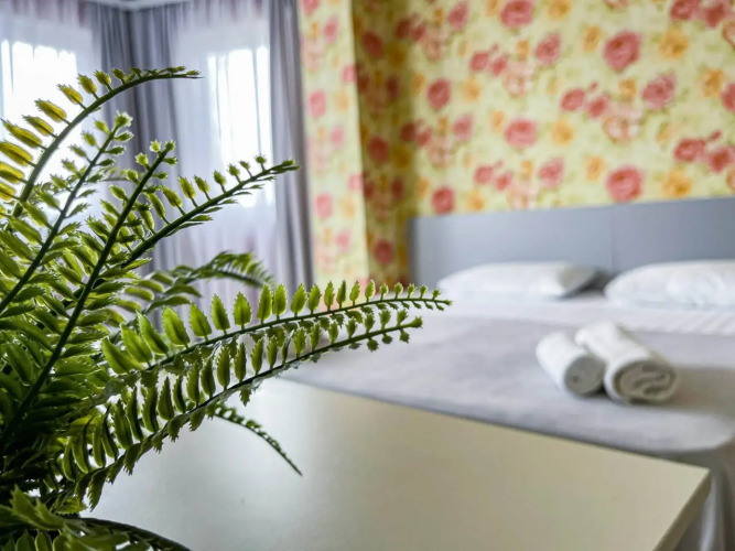   - изображение 1