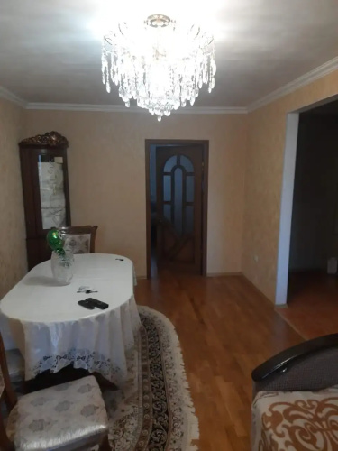 Delfin Spb Flat