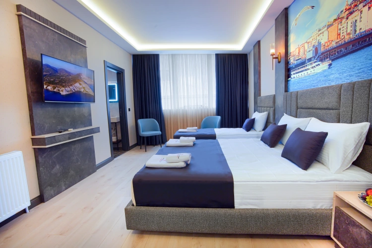 Deluxe Triple room