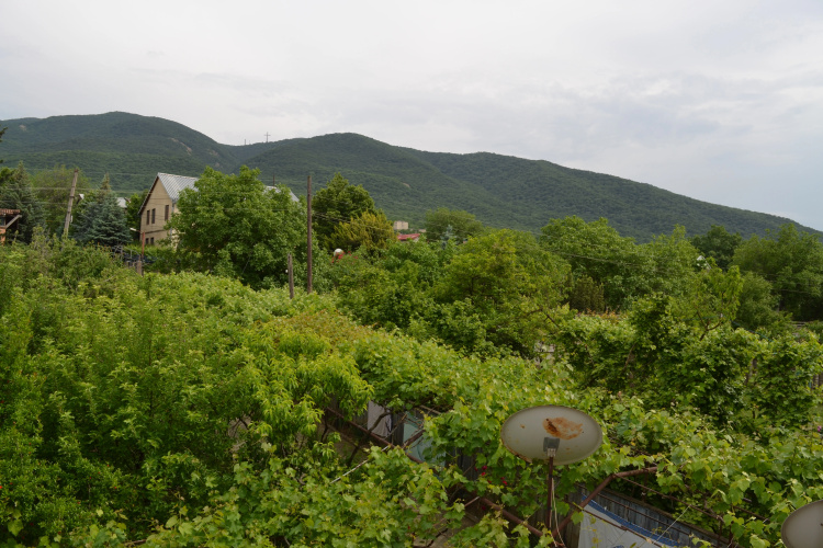 Saguramo Garden Guest House