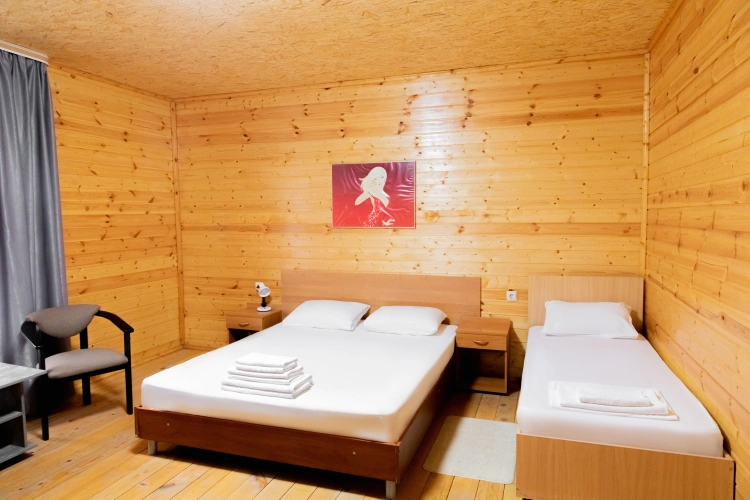Standard Triple room with courtyard view