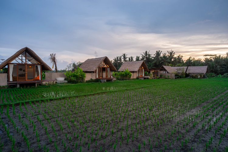 Pondok Mawas Hotel