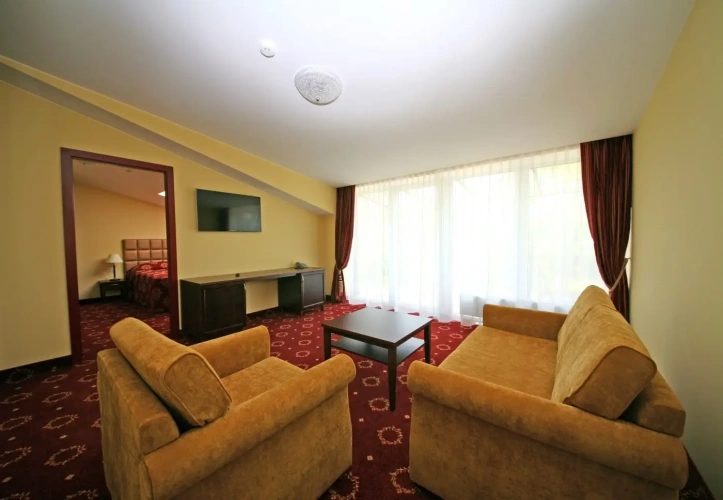 Deluxe Double room with balcony and with view