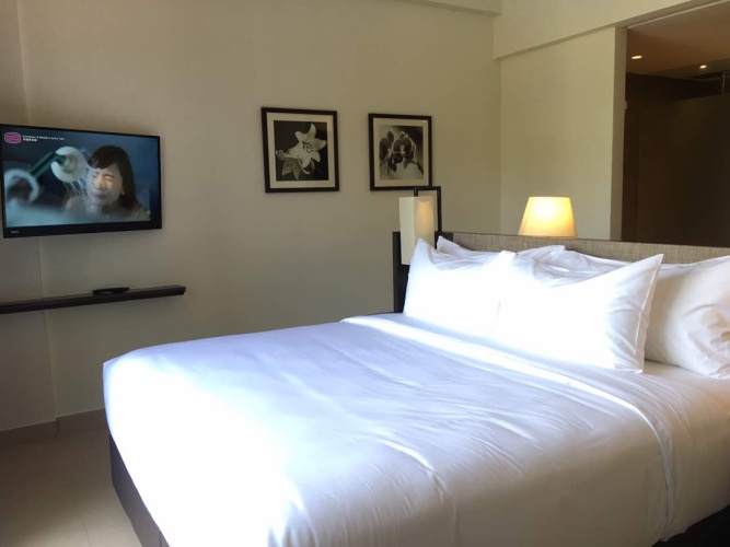Deluxe Pool Wing Double room