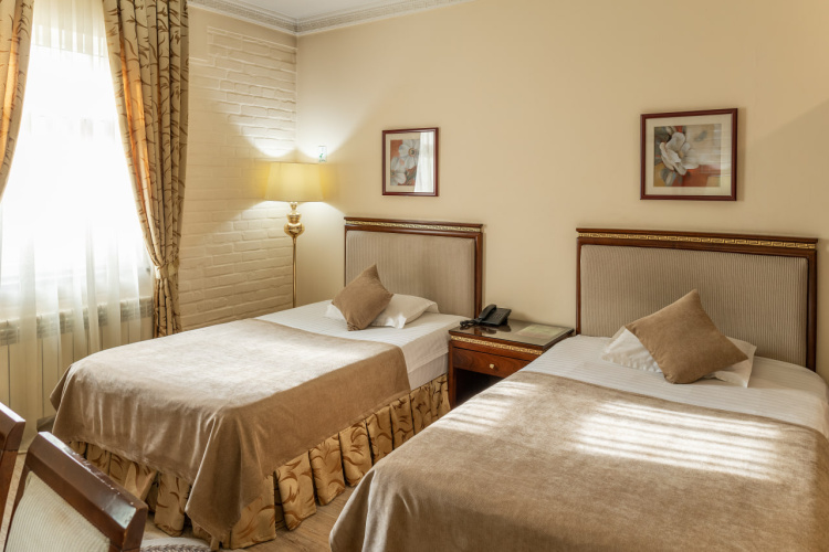 Standard Twin room with view