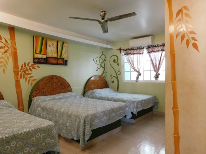 Standard Triple room with view