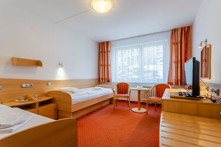 Comfort Double room with view