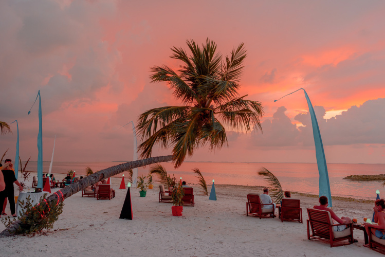 Canareef Resort Maldives photo 16