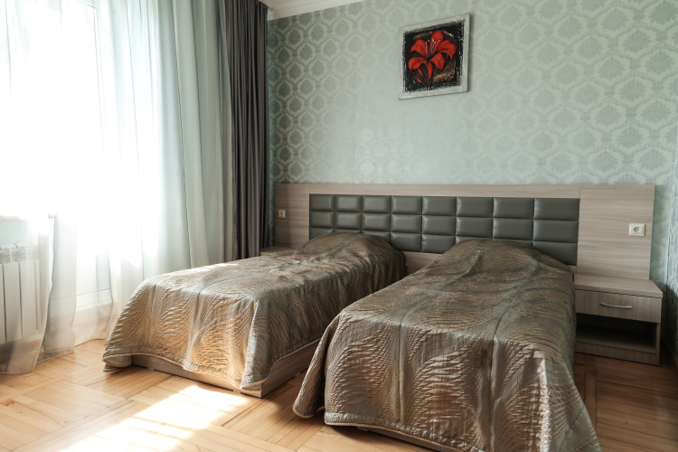 Фотография номера гостиницы Пушкинская