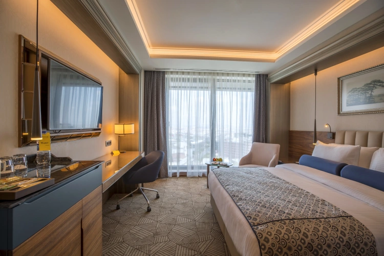 Superior Double room with city view