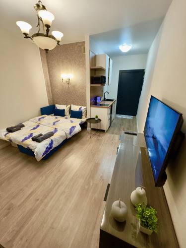 Фотография номера квартиры Квартира в Лыткарино 6-й микрорайон