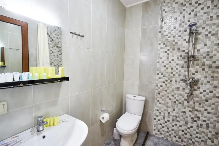 Hotel Old Borzhomi