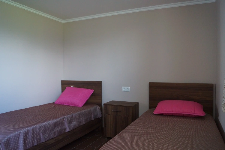 Standard Twin room with balcony and with view