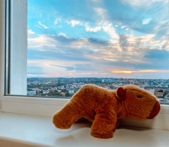 Фотография номера квартиры Апартаменты Счастье жить в новом доме с шикарным видом