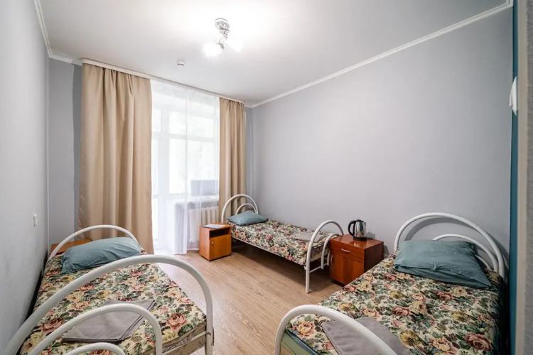 Фотография номера гостиницы Парк-Отель Лесной