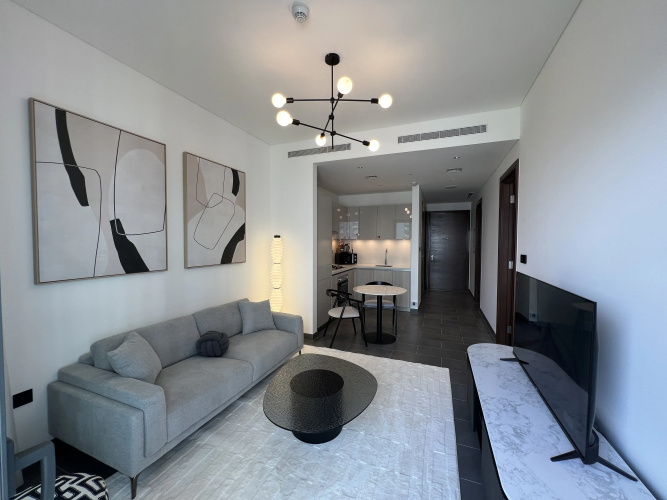 Deluxe  Apartment