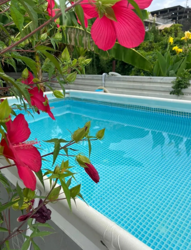 Edem Guest House