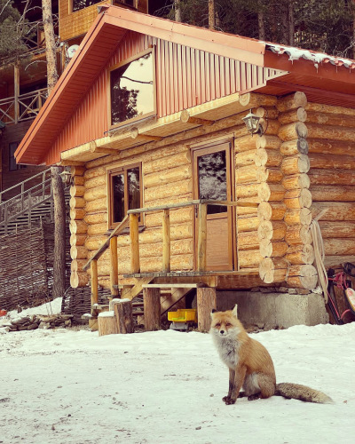 Фотография номера гостиницы Курортный отель Таурух Азау