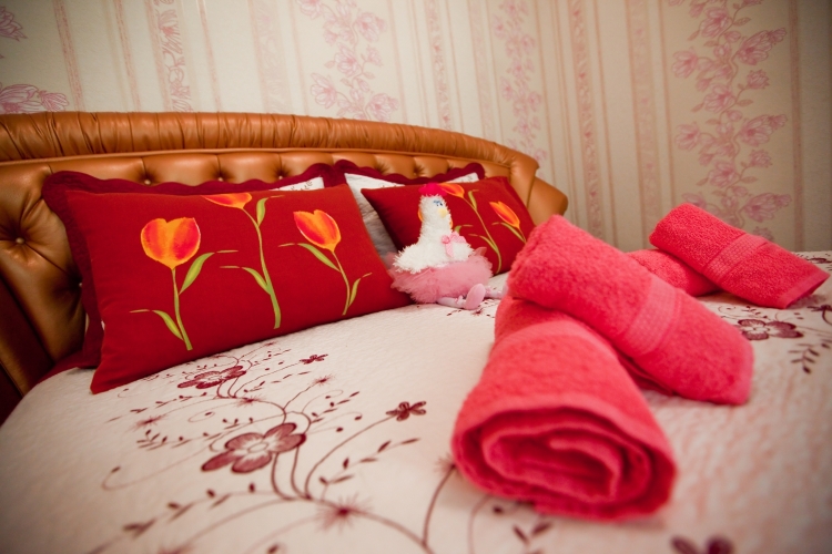 Фотография номера гостиницы Бутик-Отель Магнолия