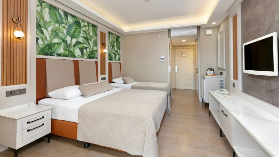 Standard Twin room with balcony and with sea view