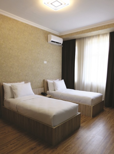 Standard Twin room with view