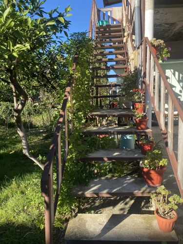 2 Bedrooms Standard room with balcony and with garden view