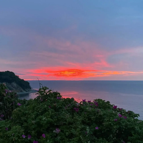 Фотография номера гостевого дома Лесное