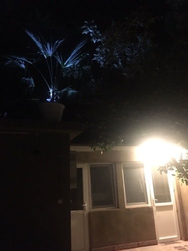 Outside