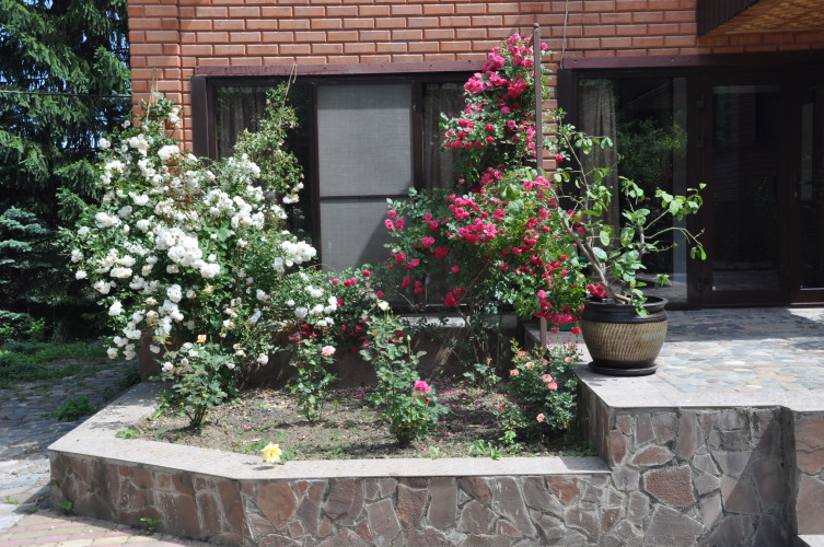 Фотография номера гостевого дома Эдельвейс