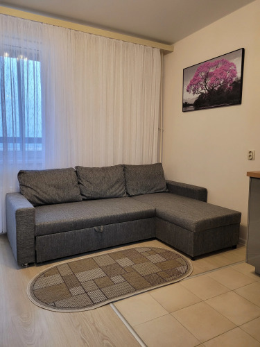 Фотография номера квартиры Апартаменты InnDays Рязановское шоссе 31к1 (5)