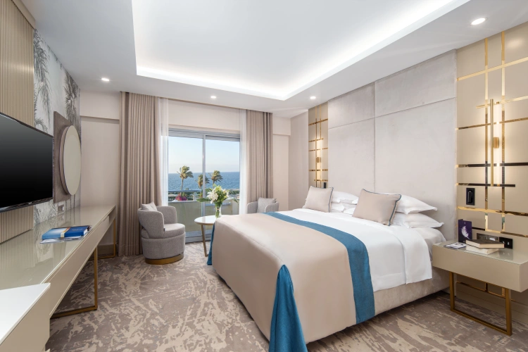 Deluxe Suite Room