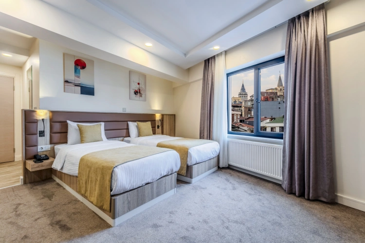 Deluxe Twin room