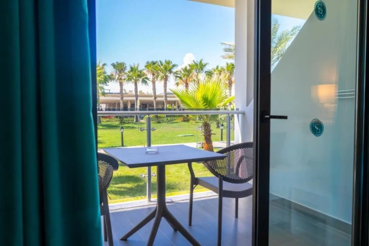 Standard Twin room with balcony and with garden view