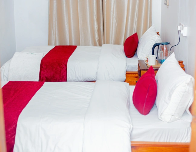 Standard Double room with balcony and with view