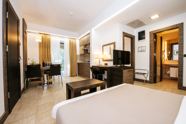 1 Bedroom Comfort Apartment with view