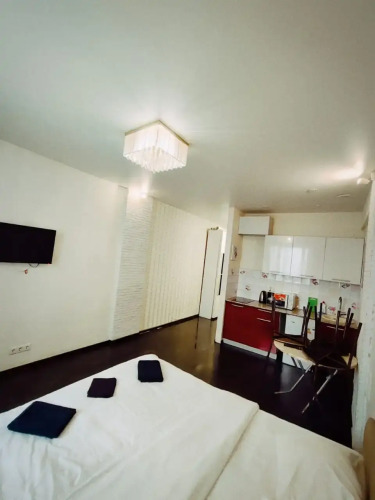 Фотография номера квартиры Апартаменты Ms Apts 9 Мая 21/3